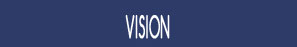 vision